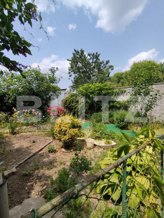 Casa de vânzare 6 camere Balcescu - 172627CV | BLITZ Timișoara | Poza19