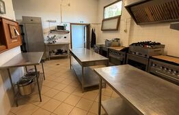 Spatiu comercial de inchiriat pentru PIZZERIE UTILAT 210mp+terasa ARADULUI