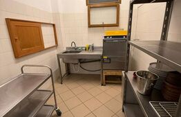 Spatiu comercial de inchiriat pentru PIZZERIE UTILAT 210mp+terasa ARADULUI