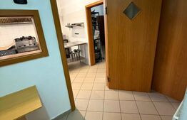 Spatiu comercial de inchiriat pentru PIZZERIE UTILAT 210mp+terasa ARADULUI