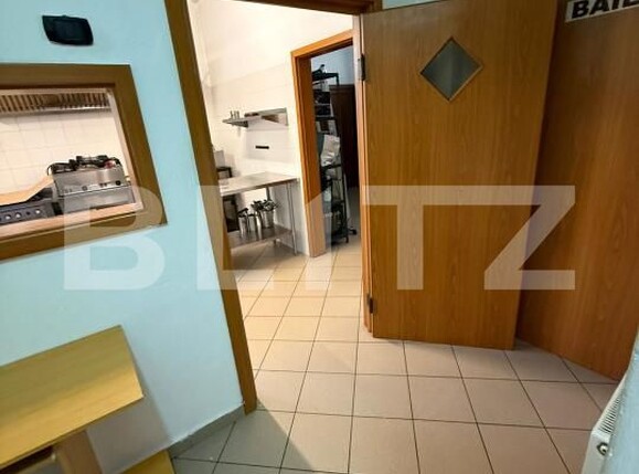 Spațiu comercial de închiriat Aradului - 172692SIC | BLITZ Timișoara | Poza10