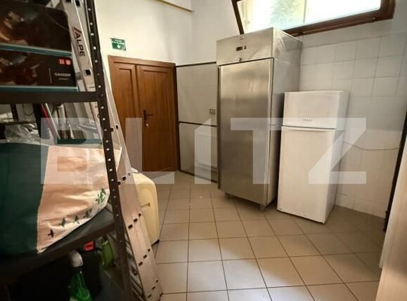 Spațiu comercial de închiriat Aradului - 172692SIC | BLITZ Timișoara | Poza4