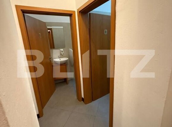 Spațiu comercial de închiriat Aradului - 172692SIC | BLITZ Timișoara | Poza11