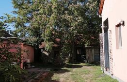 Casă mică cu potențial mare – teren generos de 458 mp, zona Iosefin