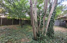 Casă mică cu potențial mare – teren generos de 458 mp, zona Iosefin