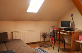 Casă mică cu potențial mare – teren generos de 458 mp, zona Iosefin