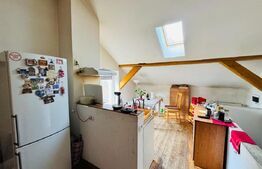 Casă mică cu potențial mare – teren generos de 458 mp, zona Iosefin