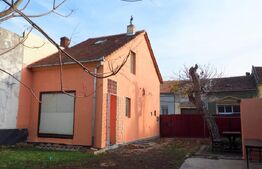 Casă mică cu potențial mare – teren generos de 458 mp, zona Iosefin