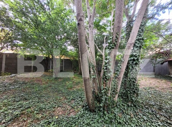 Casa de vânzare 2 camere Iosefin - 172698CV | BLITZ Timișoara | Poza2