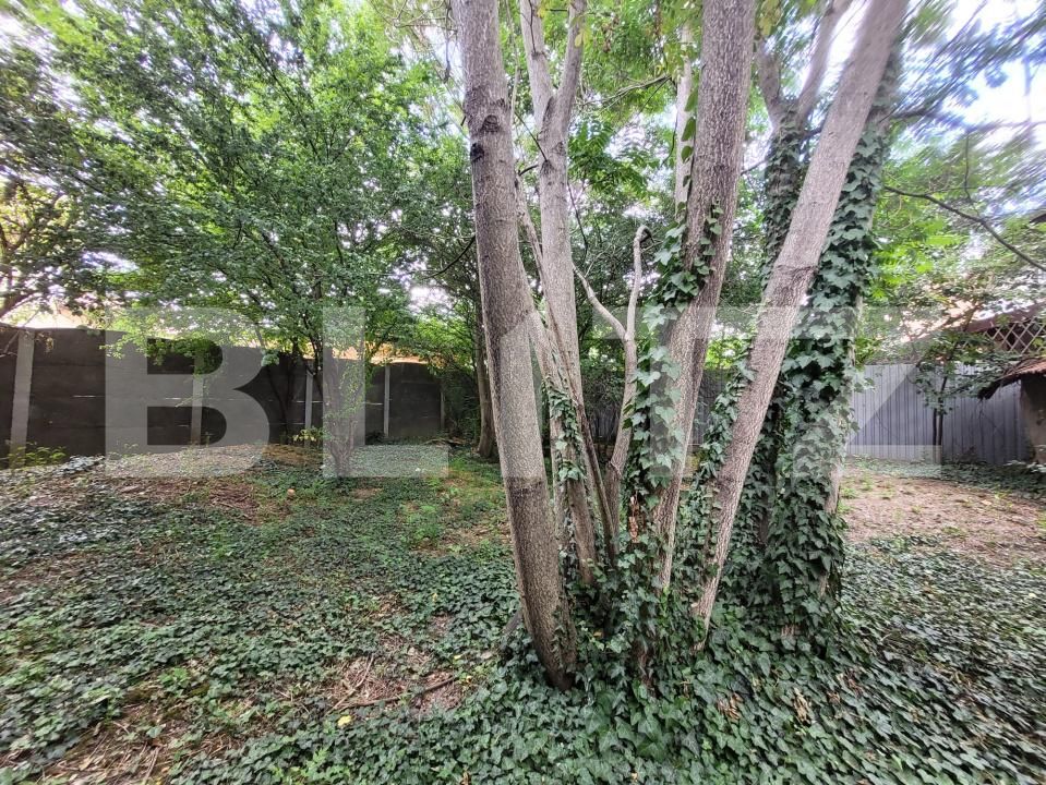 Casa de vânzare 2 camere Iosefin - 172698CV | BLITZ Timișoara | Poza2