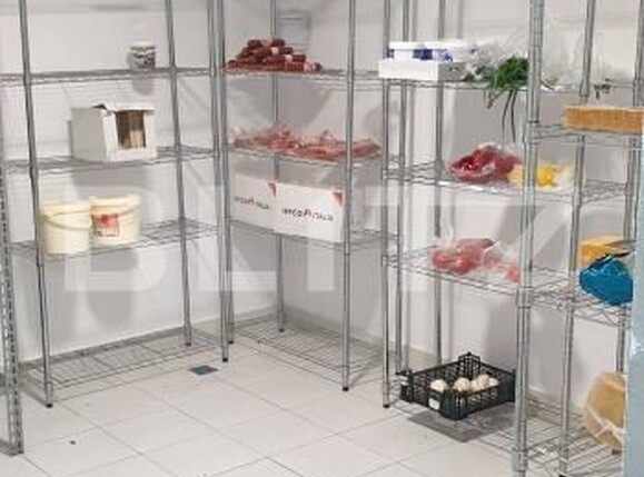 Spațiu comercial de vânzare P-ta Victoriei - 172859SVC | BLITZ Timișoara | Poza12