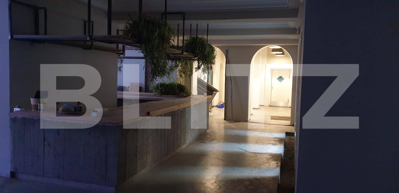 Spațiu comercial de vânzare P-ta Victoriei - 172859SVC | BLITZ Timișoara | Poza2