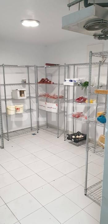 Spațiu comercial de vânzare P-ta Victoriei - 172859SVC | BLITZ Timișoara | Poza12