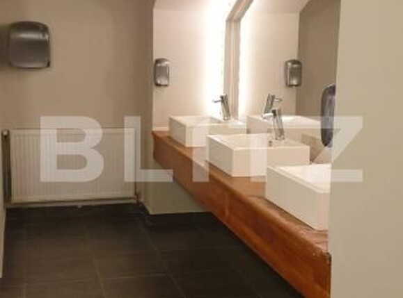 Spațiu comercial de închiriat P-ta Victoriei - 172897SIC | BLITZ Timișoara | Poza2