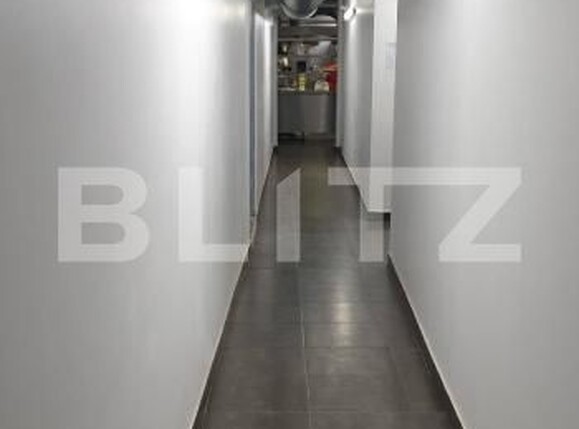 Spațiu comercial de închiriat P-ta Victoriei - 172897SIC | BLITZ Timișoara | Poza9