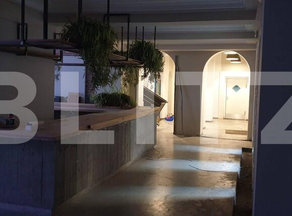 Spațiu comercial de închiriat P-ta Victoriei - 172897SIC | BLITZ Timișoara | Poza3