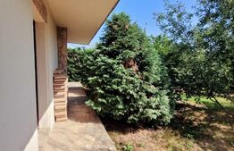 Casa deosebita, 5 camere, 800 mp teren, zona Bogdanestilor