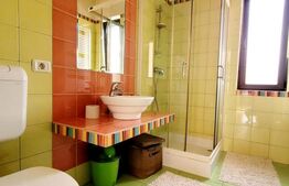 Casa deosebita, 5 camere, 800 mp teren, zona Bogdanestilor