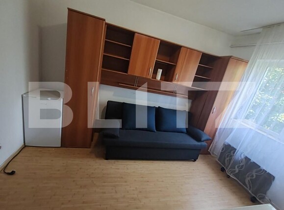 Garsonieră de vânzare Aradului - 173115AV | BLITZ Timișoara | Poza1
