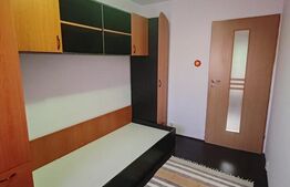 Apartament spatios de vanzare-zona Lipovei 