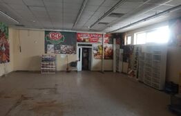 Spatiu comercial, de vanzare, parter + apartament la etaj, zona Mehala