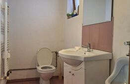 Casa compusa din doua apartamente, de vanzare, cu 8 camere, 255 mp, zona Mehala