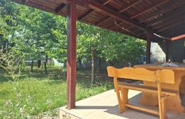 Casa compusa din doua apartamente, de vanzare, cu 8 camere, 255 mp, zona Mehala