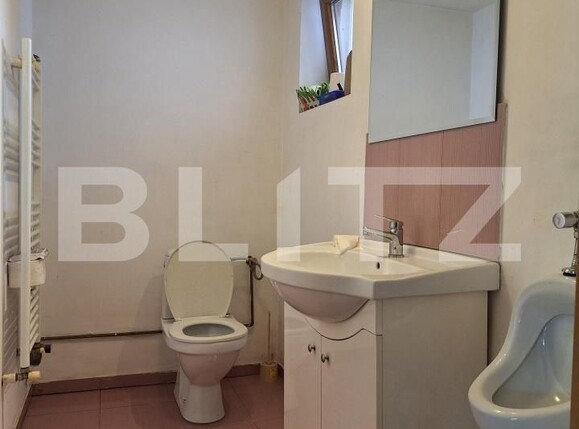 Casa de vânzare 8 camere Mehala - 173261CV | BLITZ Timișoara | Poza18