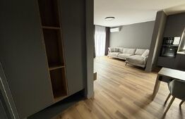 Penthouse de vanzare Bucovina 