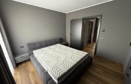 Penthouse de vanzare Bucovina 