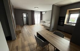 Penthouse de vanzare Bucovina 