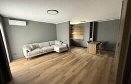 Penthouse de vanzare Bucovina 