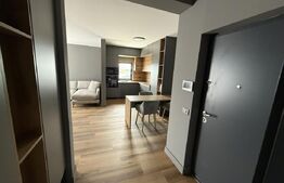 Penthouse de vanzare Bucovina 