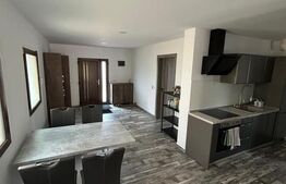 Casă individuală, modernă, de vanzare, cu 3 camere, 120 mp, zona Lipovei