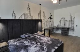 Proprietate cu Potențial de Dezvoltare – SÂNANDREI