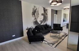 Proprietate cu Potențial de Dezvoltare – SÂNANDREI