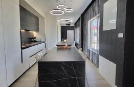 Proprietate cu Potențial de Dezvoltare – SÂNANDREI