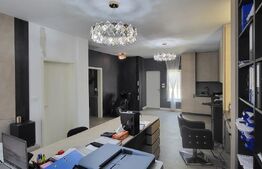 Proprietate cu Potențial de Dezvoltare – SÂNANDREI