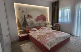 Proprietate cu Potențial de Dezvoltare – SÂNANDREI