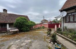 Casa 266 mp, 3992 mp teren, garaj, terasa, Topolovatu Mare-Timisoara