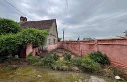 Casa 266 mp, 3992 mp teren, garaj, terasa, Topolovatu Mare-Timisoara