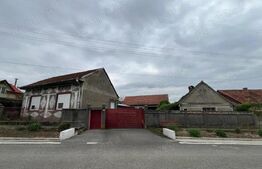 Casa 266 mp, 3992 mp teren, garaj, terasa, Topolovatu Mare-Timisoara