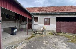 Casa 266 mp, 3992 mp teren, garaj, terasa, Topolovatu Mare-Timisoara