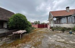 Casa 266 mp, 3992 mp teren, garaj, terasa, Topolovatu Mare-Timisoara