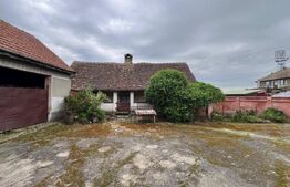 Casa 266 mp, 3992 mp teren, garaj, terasa, Topolovatu Mare-Timisoara