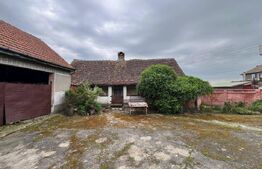 Casa 266 mp, 3992 mp teren, garaj, terasa, Topolovatu Mare-Timisoara