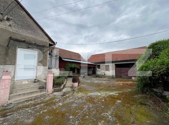 Casa de vânzare 6 camere Exterior Est - 173528CV | BLITZ Timișoara | Poza7