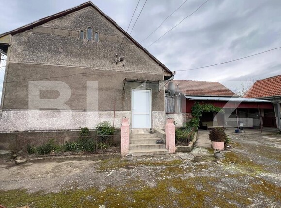 Casa de vânzare 6 camere Exterior Est - 173528CV | BLITZ Timișoara | Poza10