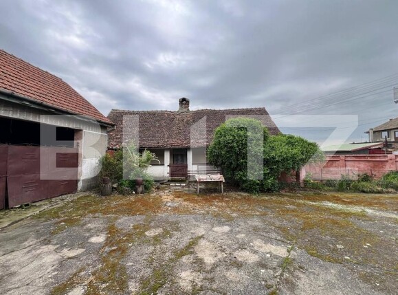 Casa de vânzare 6 camere Exterior Est - 173528CV | BLITZ Timișoara | Poza5