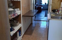 Apartament de inchiriat, 2 camere, 65 mp, zona Iosefin